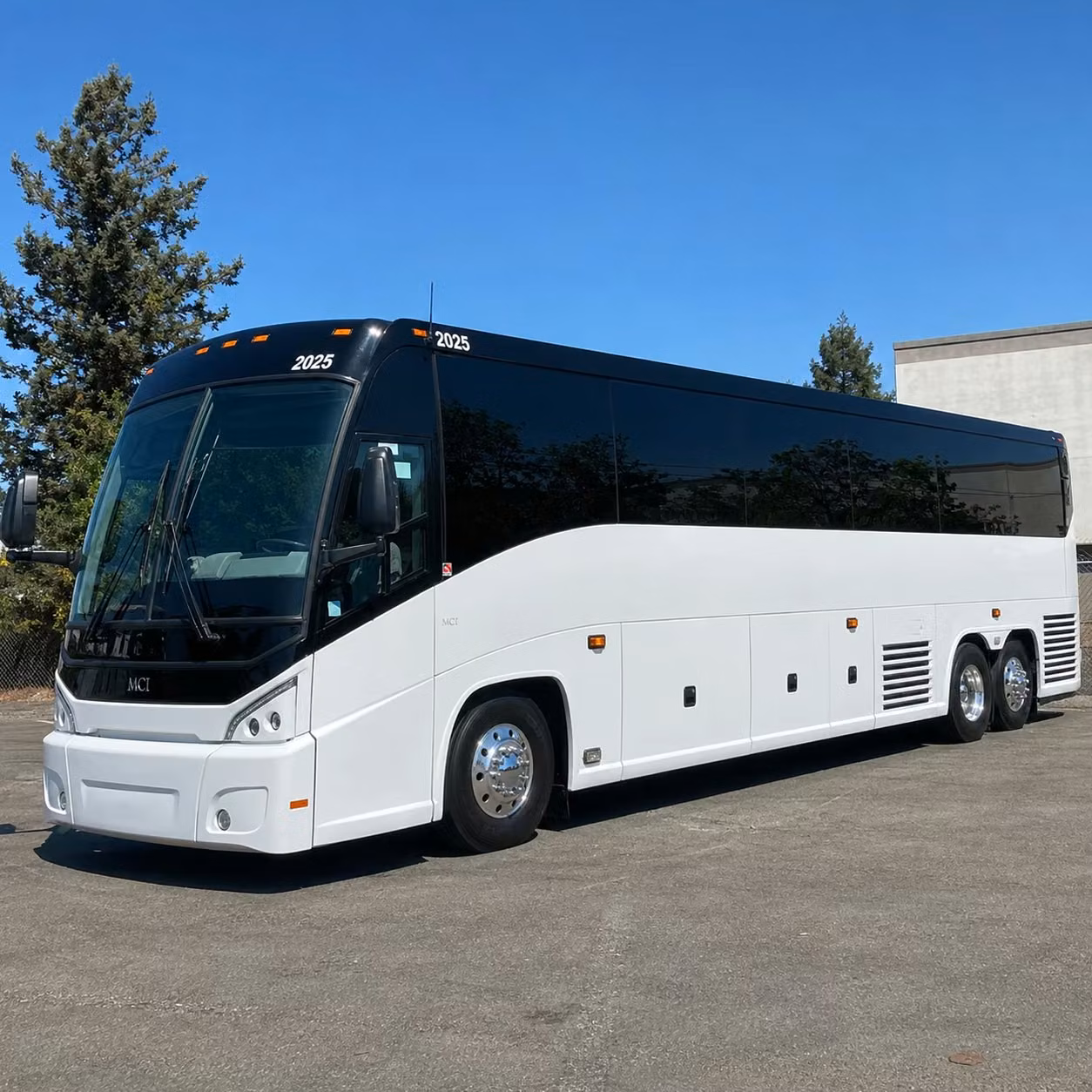 56 passenger charter bus